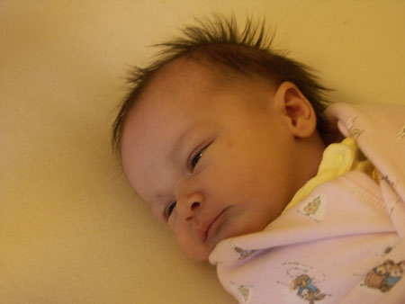 PICT0005