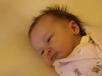 PICT0005