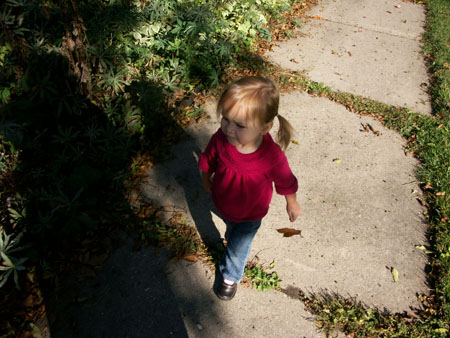 PICT0045