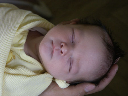 PICT0002a
