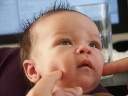 PICT0005