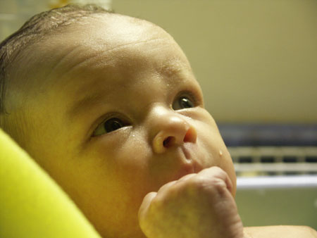PICT0023