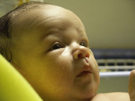 PICT0024