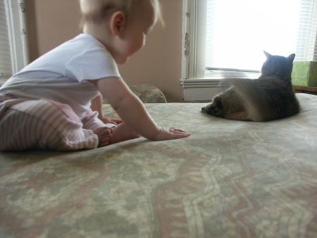 PICT0052